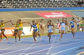 Instagram post from gibsonmccookrelays. This post is in position 7.